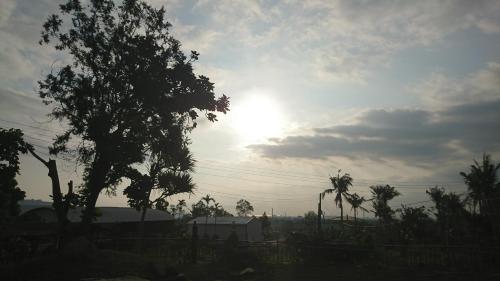 Home Rest B&B - 전망
