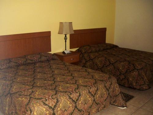Luxury Suite