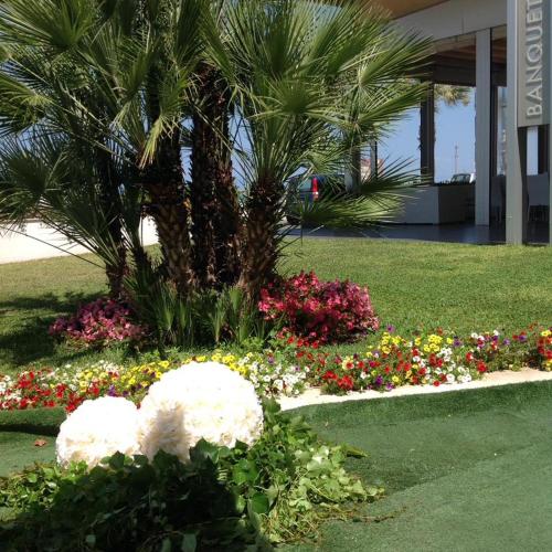 Hotel Serenella – Agropoli, UT