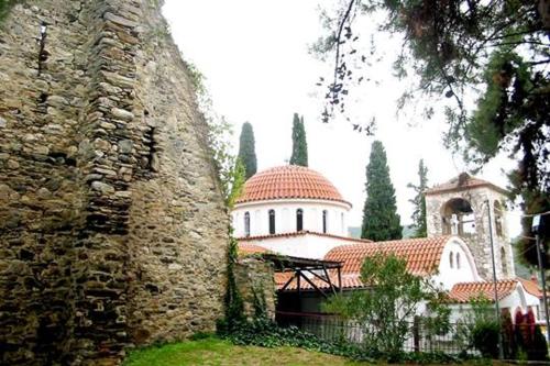 Premium Stone House - image 8