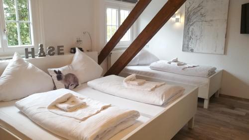 Hotel Hasen Kaufbeuren