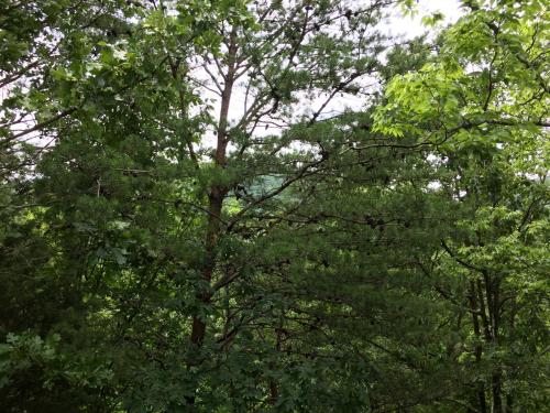 Mountain Blessings – Pigeon Forge, TN