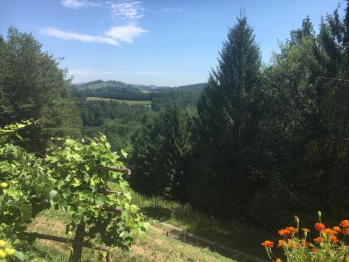 Gästehaus Schmid - image 14