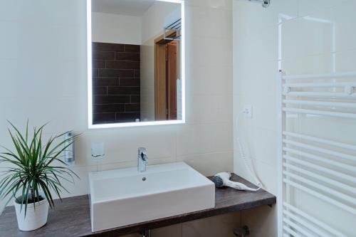 Hotel Pavlov - image 7