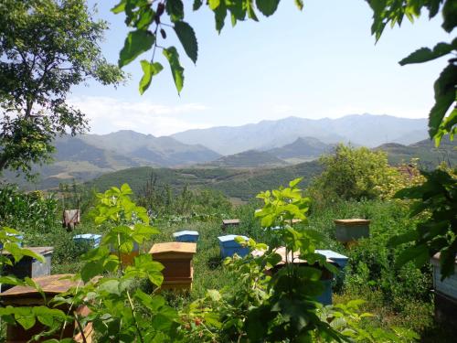 Anush`s B&B in Tatev