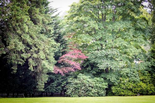 Benoch Lomond Castle