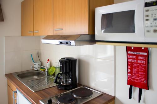 Lapin Satu Room Type - Double Room with Kitchenette