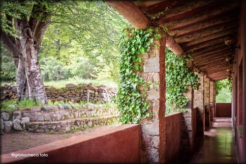 Hostal l'Avet Blau - main image