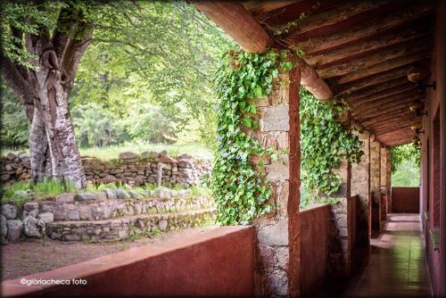 Hostal l'Avet Blau