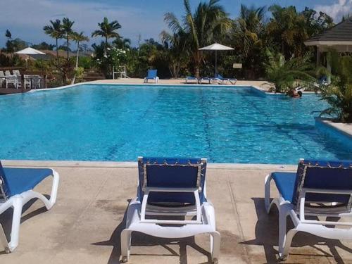 Ocho Rios Under The Palms