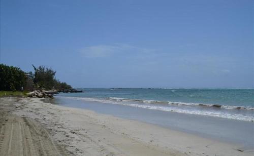 Ocho Rios Under The Palms