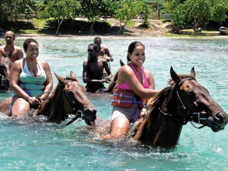 Ocho Rios Under The Palms