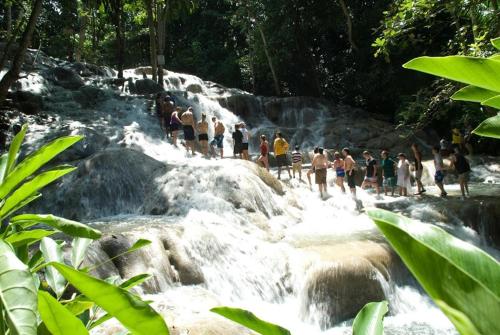 Ocho Rios Under The Palms