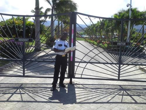 Ocho Rios Under The Palms