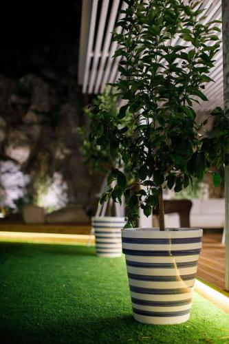 MelRose Relais - image 11