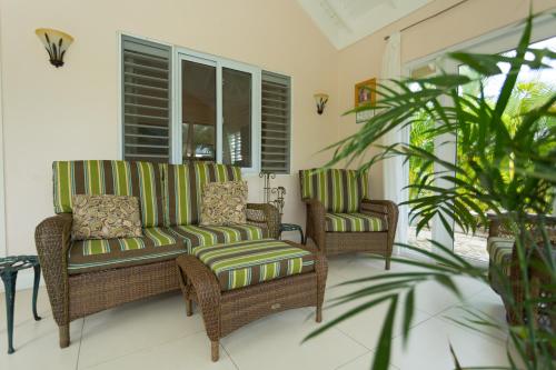 Ocho Rios Under The Palms II in 植物村