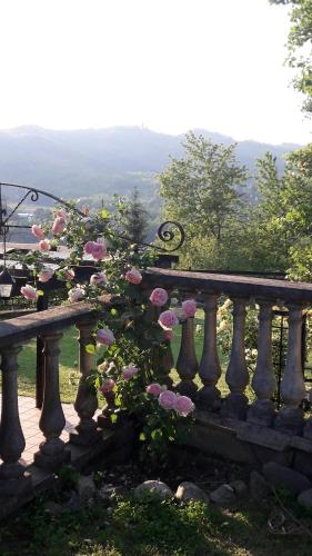 Cascina Ciosse B&B in Grognardo