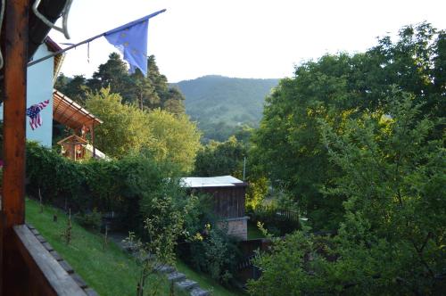 Pensiunea Morariu in Vale