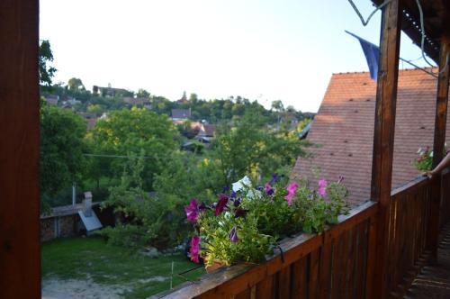 Balkons/terase, Pensiunea Morariu in Vale