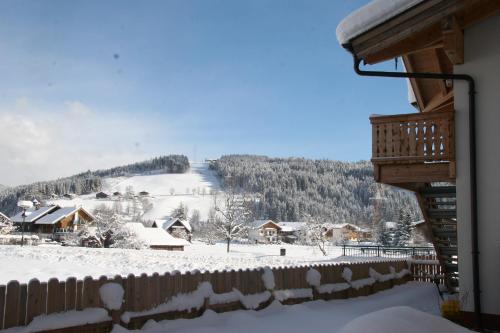 Omgivelser, Ferienhaus Felix in Flachau