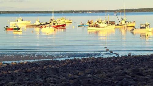 Spouter Inn Bed & Breakfast - image 2