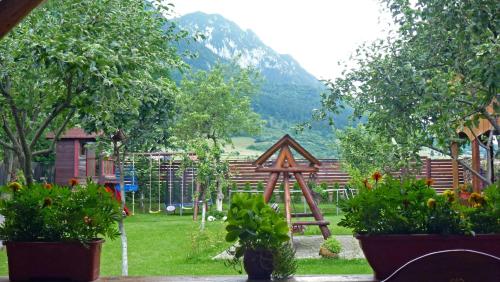 Sura Pietrei Craiului - image 14