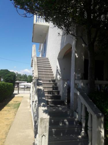  Apartment Zdenka in Povljana