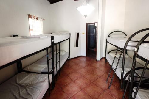 Tamarindo Backpackers