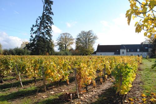 Au Clos de l'Epinay - image 6
