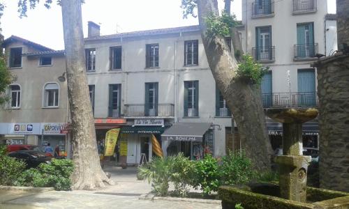 cal erre - Apartment - Céret