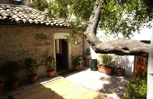  L'albero di Giuggiole, Pension in Cosenza bei Carolei