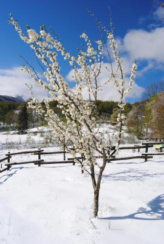 Albergo Val di Luce – Fiumalbo, KY