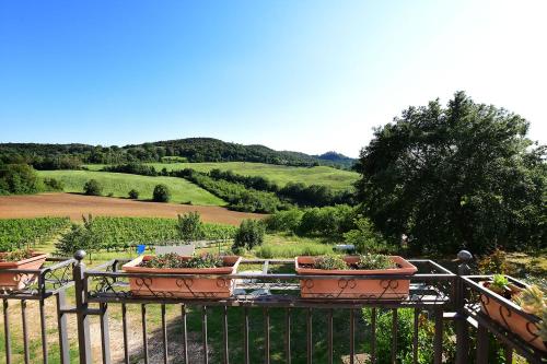 Il Collicello - main image