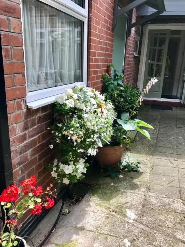 Dairy Guest House - image 6