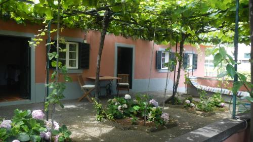 Wunderschöne Finca in Canico gîte à louer Ribeira Porto Novo