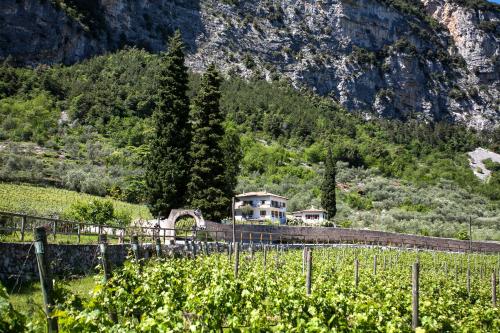 Agriturismo Maso Lizzone - Accommodation - Dro