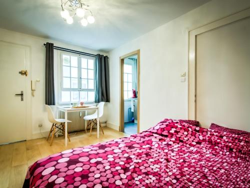 Nice and fonctional Studio in City Center - Location saisonnière - Strasbourg