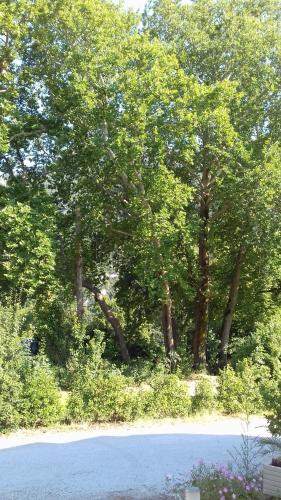  Anastasia Hotel in Kamena Vourla