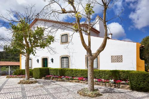 Casa D Obidos - 숙소 외관