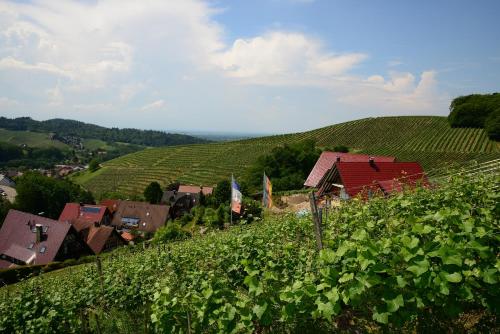 Residence am Weinberg / Travellers Hotelbetriebs GmbH