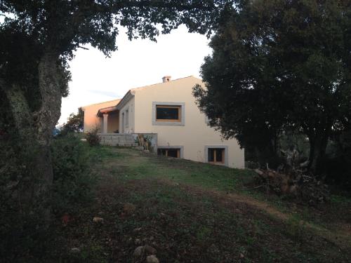 Affittacamere Taddei