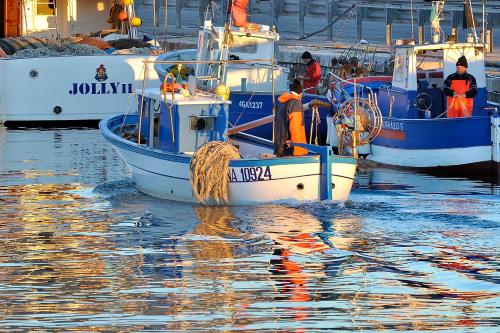 Quiet Home Terracina - image 7