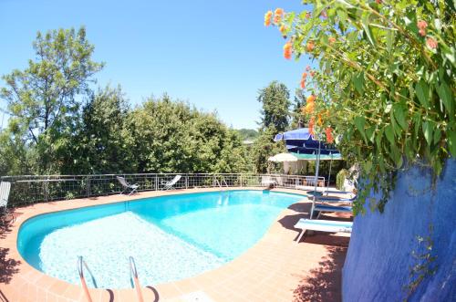 Il Corbezzolo - image 5