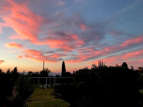 Agriturismo Villani Poderi Nesti & Cupoli