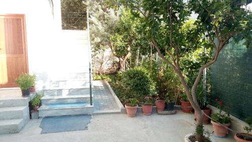 Apartment Demaj