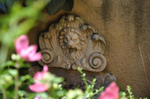 Maison Provençale photo 22