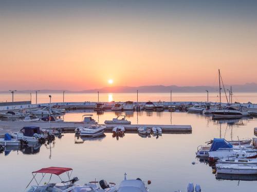 Cabo Verde Hotel - image 4
