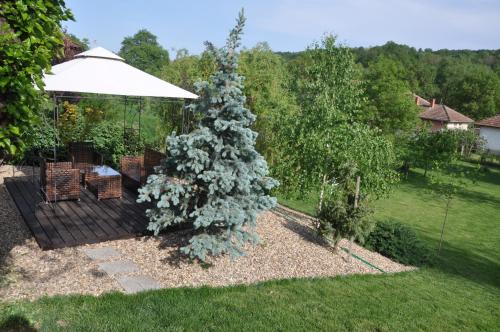 Guesthouse Djurić - image 10