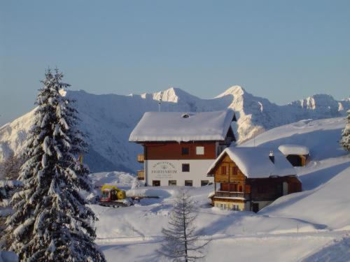 Almhotel Fichtenheim - image 13