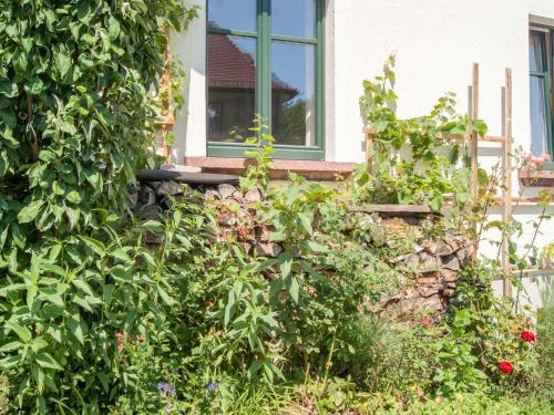 Gastezimmer Richter, Drážďany (fotografie 8)